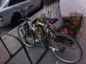 bike1.jpg