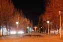 _MG_3377.jpg