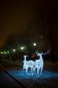 IMG_3763.jpg
