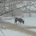 DSC_0276.JPG