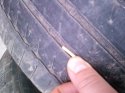 IMG00248.jpg