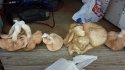 20150517_181311.jpg