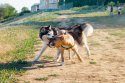 IMG_1066.jpg