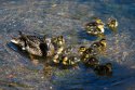 DSC05882-web.jpg