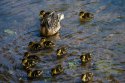 DSC05890-web.jpg