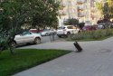 20150707_182543.jpg