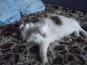 DSCF1684.JPG