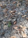 2015910122320.jpg