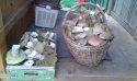 20150924_163841.jpg