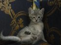 DSC05360.jpg