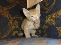 DSC05372.jpg