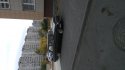 IMG_20151014_143523.jpg