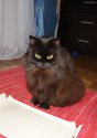 DSC00098.JPG