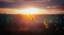 DSC08240.jpg