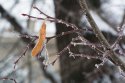 DSC_0356-web.jpg