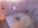 IMG_20160109_180353.jpg