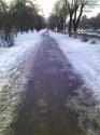 IMG_20160115_073904.jpg