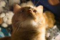 DSC_0437-web.jpg