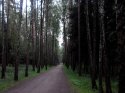 _20150622211552.jpg