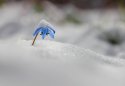 _MG_0194.jpg