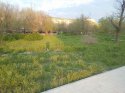 20160423_182925.jpg