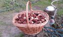 20160503_214345.jpg
