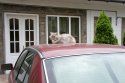 DSC05802.jpg