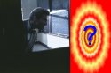 273472323984517245-1.jpg