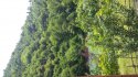20160605_121821.jpg