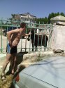 С ослэ.jpg