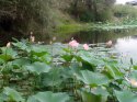 IMG_20160808_134538.jpg