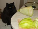 DSC00856.JPG