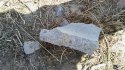 IMG_20160912_101003.jpg
