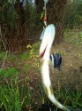 IMG_20160918_074600.jpg