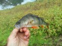 IMG_20160918_081538.jpg