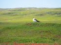 IMG_7873.JPG