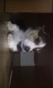 IMG-20161102-WA0027.jpeg