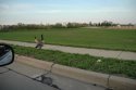 DSC_0901.jpg