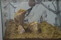 DSC_0506.jpg