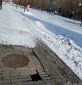Безымяннsый.jpg