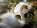 IMG_1849-web.jpg