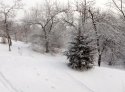 P61215-121646-web.jpg