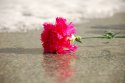 DSC_1279.JPG