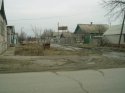Изменение размера P10100091.JPG