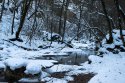 DSC08057-web.jpg