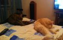 2016-11-06 22.03.04.jpg