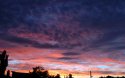 DSC_5907a.jpg
