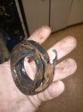 IMG_20160918_183435.jpg
