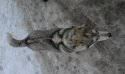 20170220_084618.jpg