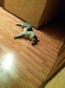 IMG_20170302_002707.jpg